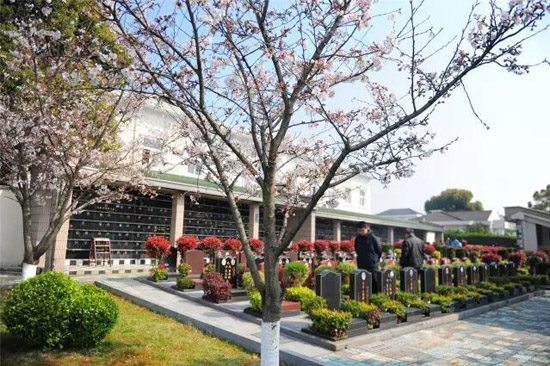 上海息园墓地，让出行更通畅、“入住”更宜居