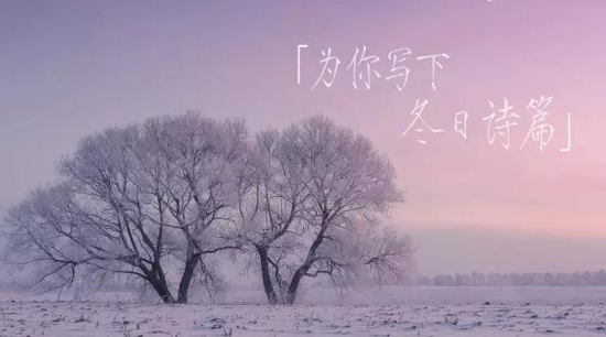 冬季生态礼葬仪式在大蜀山文化陵园举行