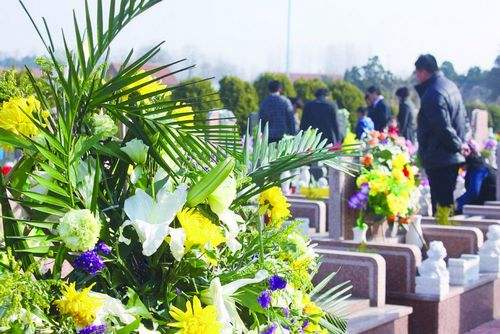 上海松鹤墓园发布清明祭扫出行方案
