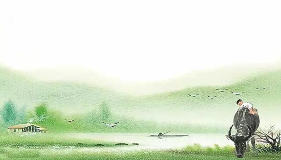 上海墓地：清明既是悲痛的节日，也是快乐的节日