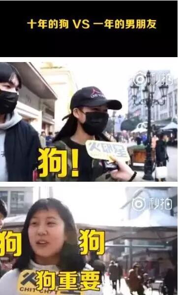 宠物身后事怎么办？