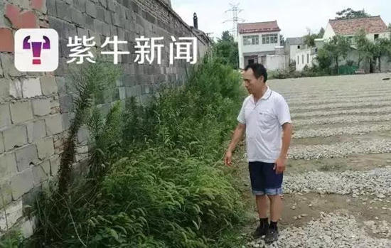 开门见墓，30亩墓地规划到了家门口，也是没谁了