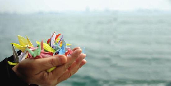 【墓地摘报】市海葬生前奖励办法出台，开全国政策先河