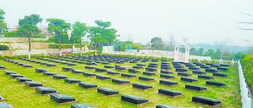 【墓地摘报】四部门联合出台，推行节地生态安葬奖补办法