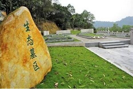 【殡葬快报】市殡葬管理处开展免费墓葬活动，免费提供生态墓穴100个