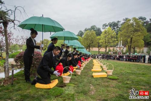【殡葬快报】市殡仪馆将于3月底在玉函山墓地组织生态葬。
