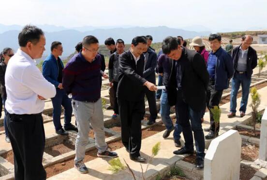【殡葬快报】市九部门联合发文力推节地生态墓葬