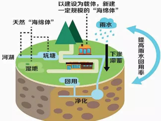 上海古园墓地完成“海绵墓区”改造试点