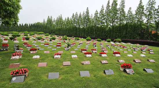 【殡葬快报】市临安区整治违规豪华墓地，提升节地生态安葬率