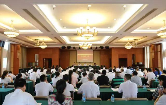 上海墓地：市民政局召开巡察调研殡葬中心情况反馈会议