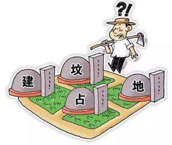 上海墓地：多地积极整治殡葬领域突出问题，维护民生利益。