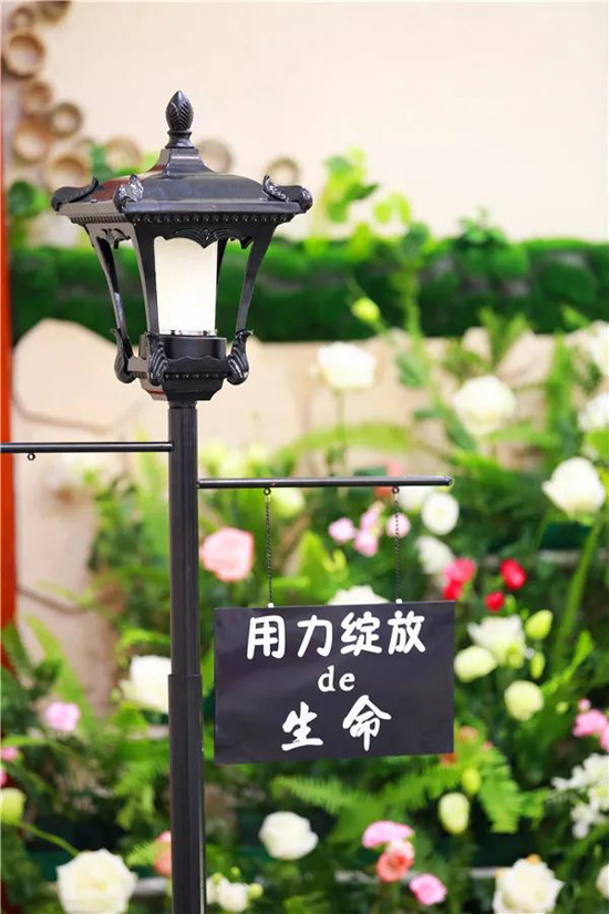 上海福寿园墓地：夏天的意义，不顾一切去美丽