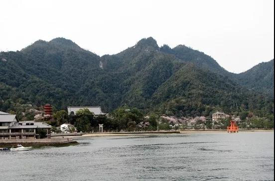 上海墓地：自杀记得别去这些地方，犯法！