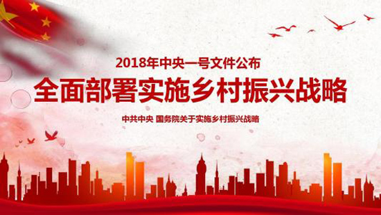 上海墓地：王金华谈做细做精社会事务，助力乡村全面振兴