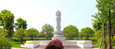 【清竹园】【嘉定】清竹园每周一款特价墓，低价直达.惊喜不断！ 
