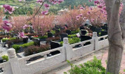 上海墓地|上海墓地建筑设计:探讨城市公共空间与生死文化的融合