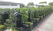 上海墓地 | 买墓地时如何了解上海公墓的服务质量？