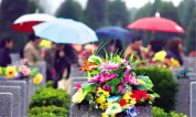 上海墓地|公墓管理新动向:生态葬渐成新趋势,超期墓穴处理引关注