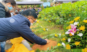 上海墓地|新华社:推广生态安葬还存哪些难题?