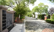 上海墓地|公墓里的环保行动:绿色生态葬了解一下?