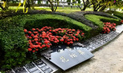 上海墓地｜热点讨论：花坛葬算入土为安吗？