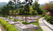 上海墓地|树葬:让生命在绿意中延续