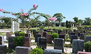 上海墓地 | 上海墓地的价格如何，可以便宜吗？