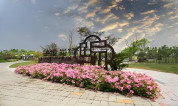 上海墓地｜在上海，购买生态墓地和传统墓地的价格差异体现在哪些方面？