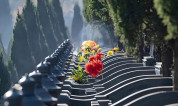 上海墓地|上海公墓殡葬的节地葬有几种?树葬、草坪葬、壁葬、花坛葬、生命晶石壁葬等