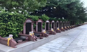 上海墓地|上海公墓如何承载城市记忆与生命尊严?