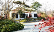 上海墓地｜如何挑选一块合适墓地