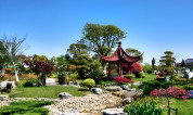 上海墓地|在上海,哪些墓园的历史比较悠久,有着深厚的文化底蕴和历史故事?