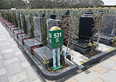 松鹤园