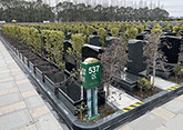 松鹤园