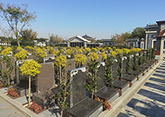 松鹤园