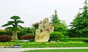 上海墓地|带您走入瀛新园