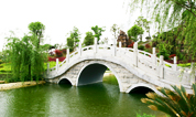 上海公墓小知识