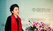 2014年中国殡葬协会科技文化工作委员会年会在四川眉山召开