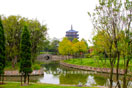 墓园美景