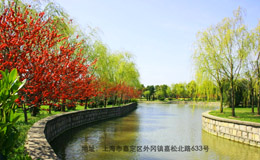 【嘉定】清竹园 风景画人文墓园