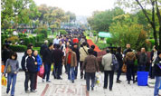 清明安全行 鲜花文明祭