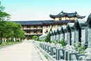 墓园一隅