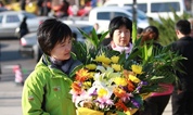 上海至尊园墓地2015年冬至祭扫客户告知书