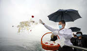 上海提升海葬补贴,缓解海葬难题!