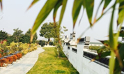 墓地美景--至尊园冬景如春