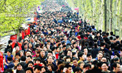 错峰祭扫-上海墓地至尊园温馨提醒