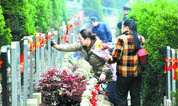 华夏墓地清明祭扫温馨提示