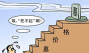 从监管处控制墓地价格失衡