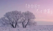 上海福寿园墓地:冬季生态礼葬仪式在大蜀山文化陵园举行