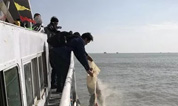 【公墓摘报】上海浦东倡导厚养薄葬，健全奖补激励机制